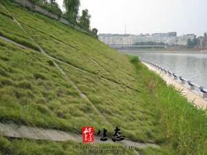 生態(tài)砼護(hù)坡